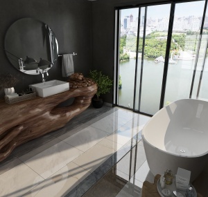 Toilet with the View