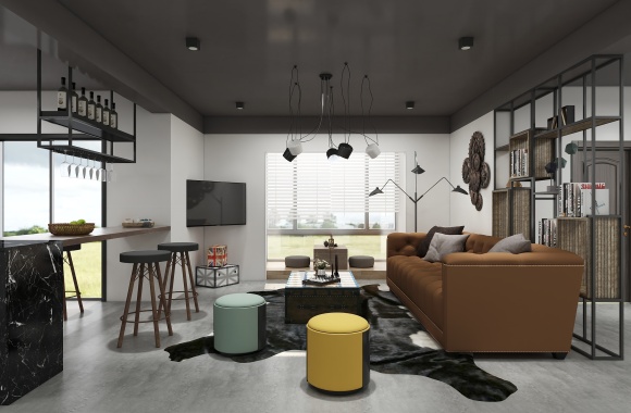 Industrial living room